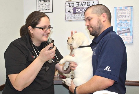 Clinic pet wellness veterinary Wellness Exams