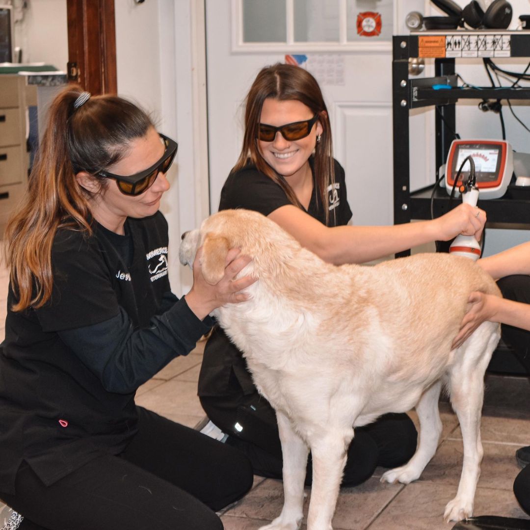 a group of women with glasses petting a dog